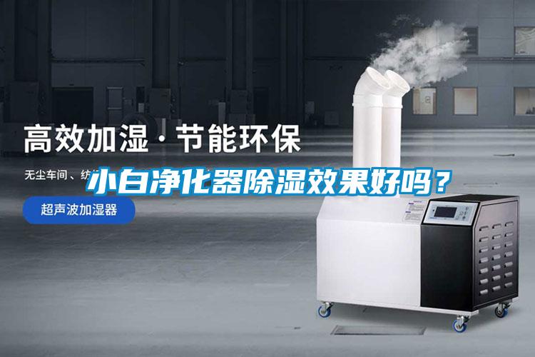 小白净化器除湿效果好吗？