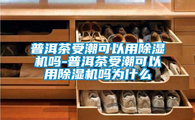 普洱茶受潮可以用91抖音免费看片吗-普洱茶受潮可以用91抖音免费看片吗为什么