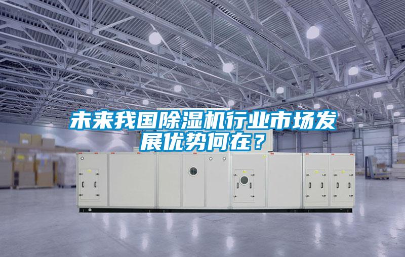 未来我国91抖音免费看片行业市场发展优势何在？