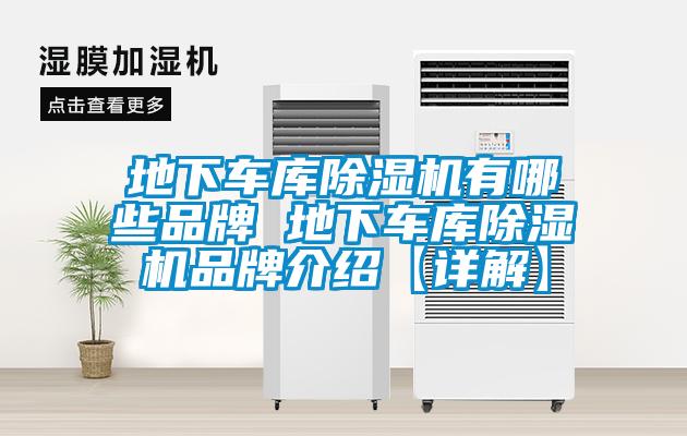 地下车库91抖音免费看片有哪些品牌 地下车库91抖音免费看片品牌介绍【详解】