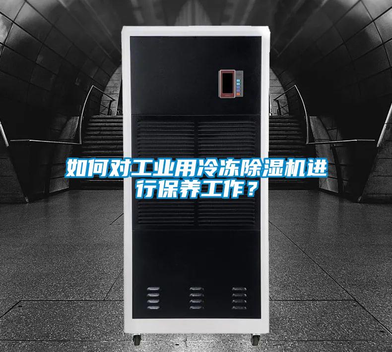如何对工业用冷冻91抖音免费看片进行保养工作？