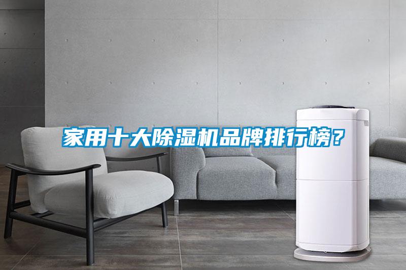 家用十大91抖音免费看片品牌排行榜？