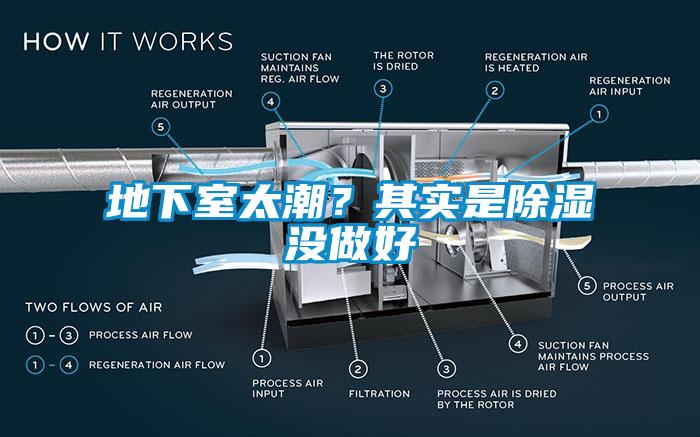 地下室太潮？其实是除湿没做好
