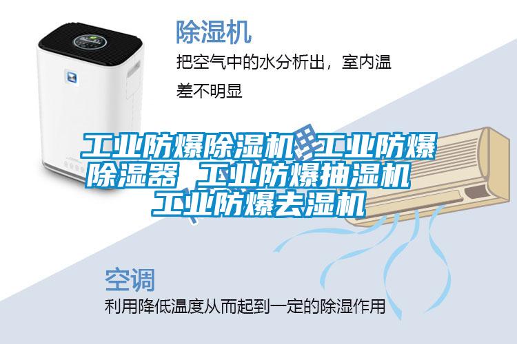 工业防爆91抖音免费看片 工业防爆除湿器 工业防爆抽湿机 工业防爆去湿机