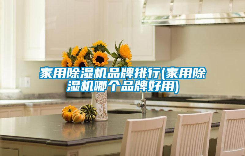 家用91抖音免费看片品牌排行(家用91抖音免费看片哪个品牌好用)