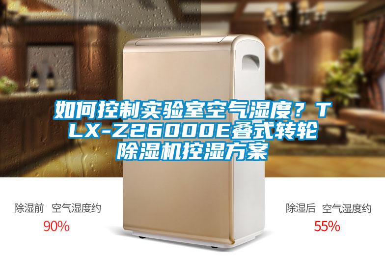 如何控制实验室空气湿度？TLX-Z26000E叠式转轮91抖音免费看片控湿方案