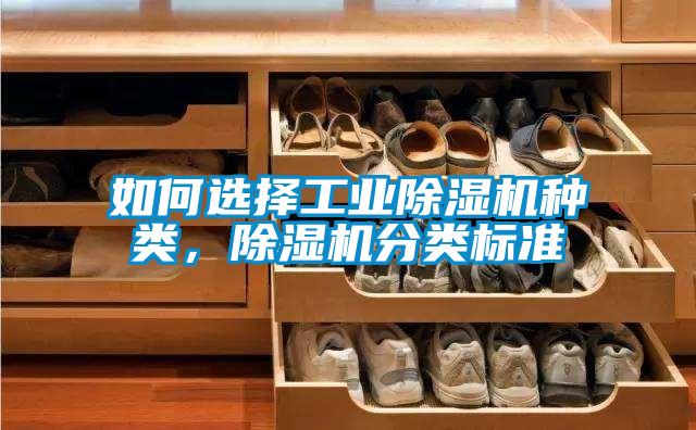 如何选择工业91抖音免费看片种类，91抖音免费看片分类标准