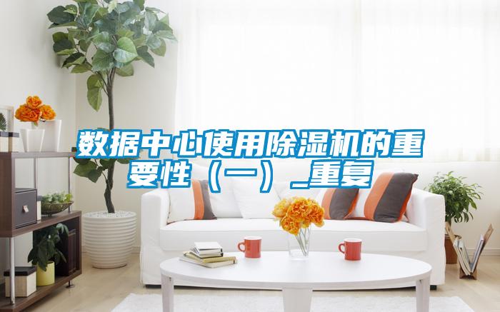 数据中心使用91抖音免费看片的重要性（一）_重复