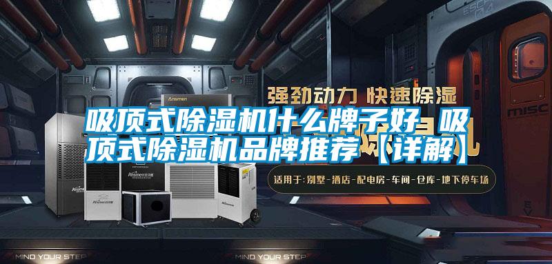 吸顶式91抖音免费看片什么牌子好 吸顶式91抖音免费看片品牌推荐【详解】
