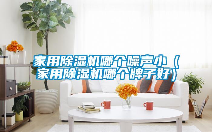 家用91抖音免费看片哪个噪声小（家用91抖音免费看片哪个牌子好）