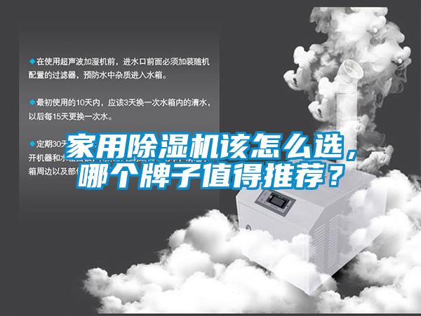 家用91抖音免费看片该怎么选，哪个牌子值得推荐？