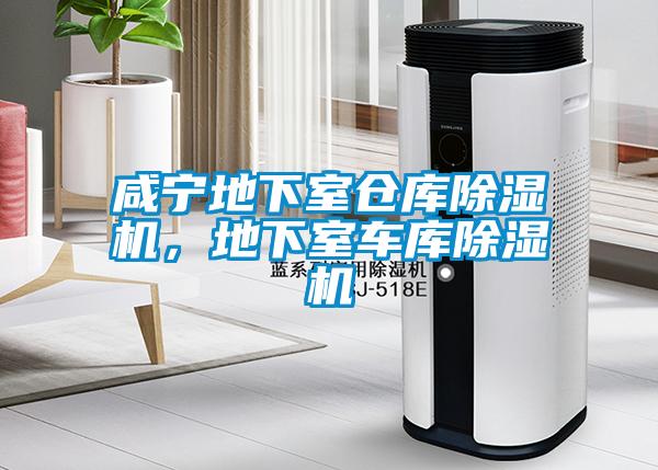 咸宁地下室仓库91抖音免费看片，地下室车库91抖音免费看片
