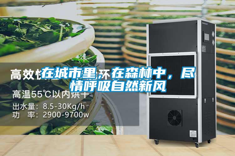 在城市里，在森林中，尽情呼吸自然新风