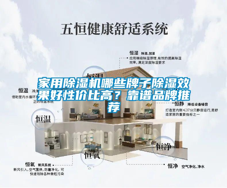 家用91抖音免费看片哪些牌子除湿效果好性价比高？靠谱品牌推荐