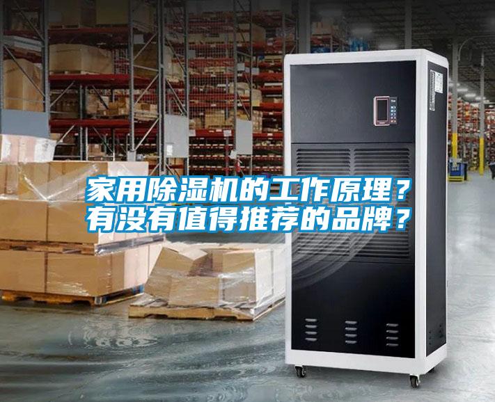 家用91抖音免费看片的工作原理？有没有值得推荐的品牌？
