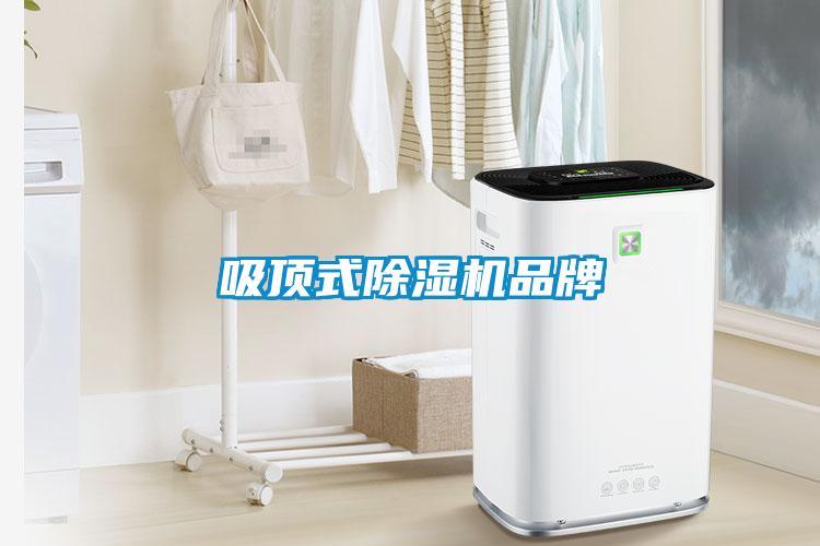 吸顶式91抖音免费看片品牌