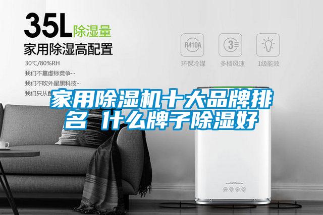 家用91抖音免费看片十大品牌排名 什么牌子除湿好