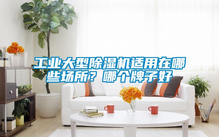 工业大型91抖音免费看片适用在哪些场所？哪个牌子好