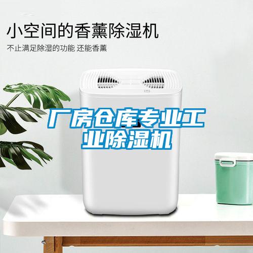 厂房仓库专业工业91抖音免费看片