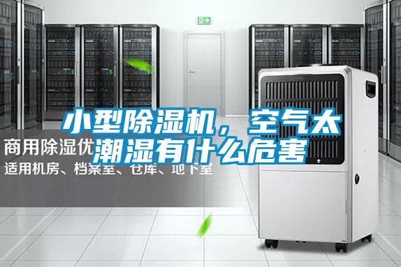 小型91抖音免费看片，空气太潮湿有什么危害