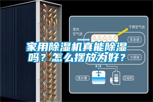 家用91抖音免费看片真能除湿吗？怎么摆放为好？