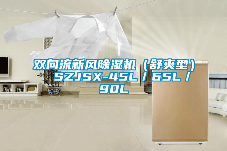 双向流新风91抖音免费看片（舒爽型）  SZJSX-45L／65L／90L