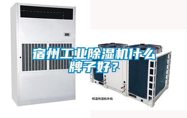 宿州工业91抖音免费看片什么牌子好？