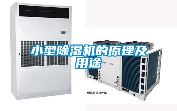 小型91抖音免费看片的原理及用途