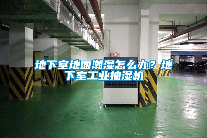 地下室地面潮湿怎么办？地下室工业抽湿机