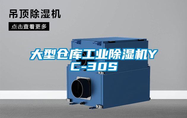 大型仓库工业91抖音免费看片YC-30S