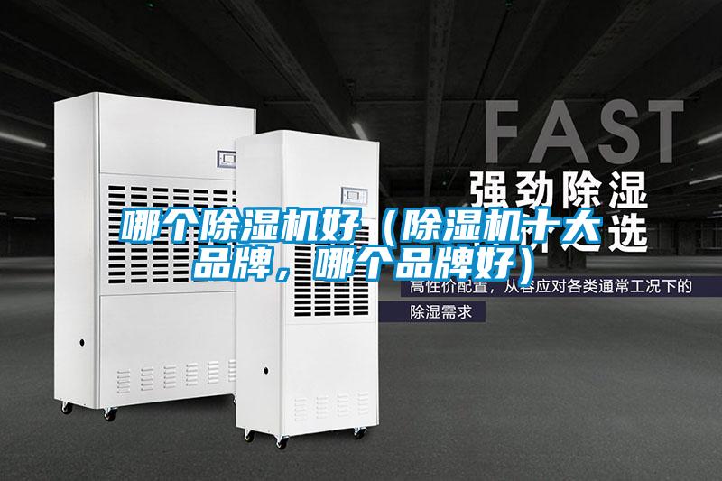 哪个91抖音免费看片好（91抖音免费看片十大品牌，哪个品牌好）