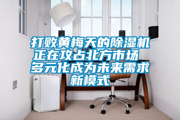打败黄梅天的91抖音免费看片正在攻占北方市场 多元化成为未来需求新模式