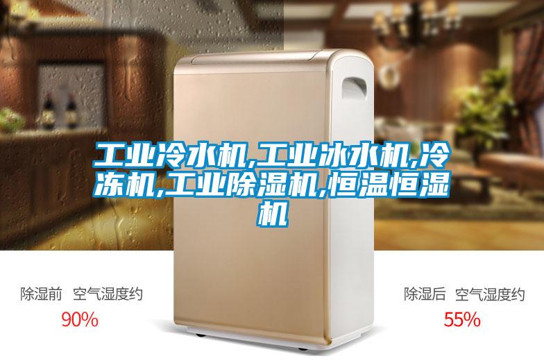 工业冷水机,工业冰水机,冷冻机,工业91抖音免费看片,恒温恒湿机