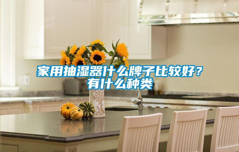 家用抽湿器什么牌子比较好？有什么种类