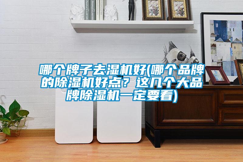 哪个牌子去湿机好(哪个品牌的91抖音免费看片好点？这几个大品牌91抖音免费看片一定要看)