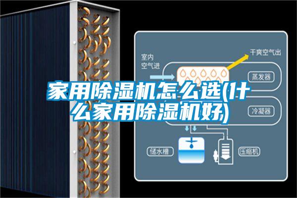 家用91抖音免费看片怎么选(什么家用91抖音免费看片好)