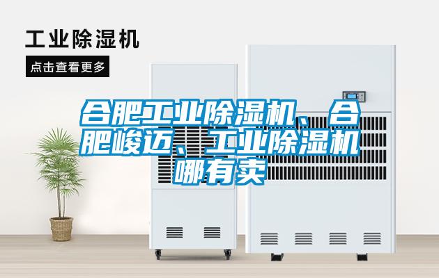 合肥工业91抖音免费看片、合肥峻迈、工业91抖音免费看片哪有卖