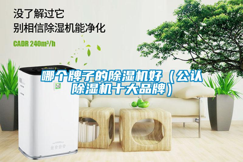 哪个牌子的91抖音免费看片好（公认91抖音免费看片十大品牌）
