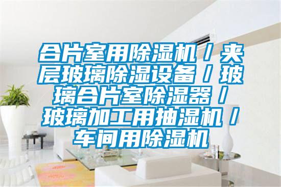 合片室用91抖音免费看片／夹层玻璃除湿设备／玻璃合片室除湿器／玻璃加工用抽湿机／车间用91抖音免费看片