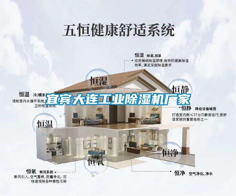 宜宾大连工业91抖音免费看片厂家