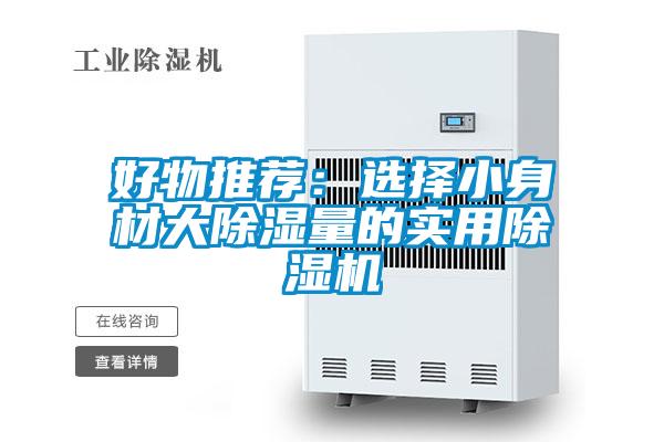 好物推荐：选择小身材大除湿量的实用91抖音免费看片