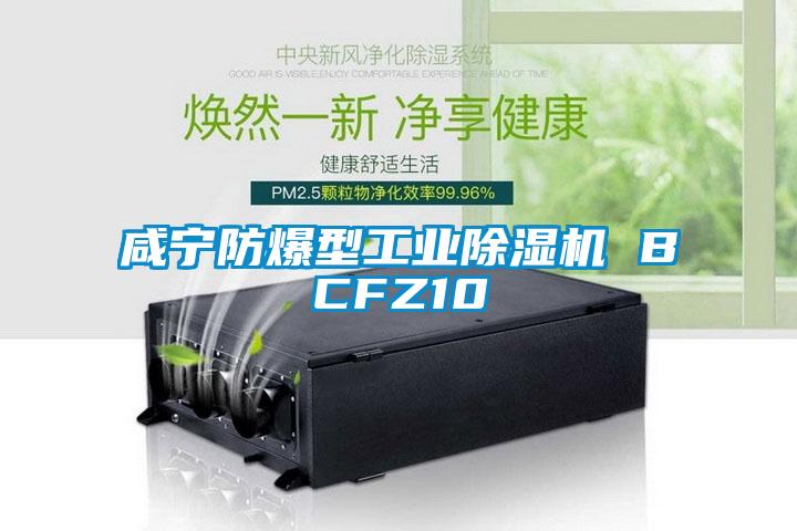咸宁防爆型工业91抖音免费看片 BCFZ10