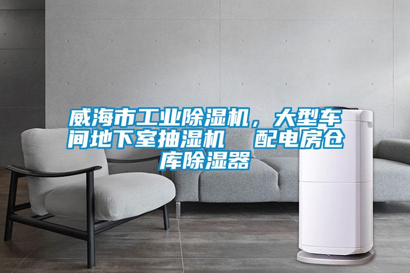 威海市工业91抖音免费看片，大型车间地下室抽湿机  配电房仓库除湿器
