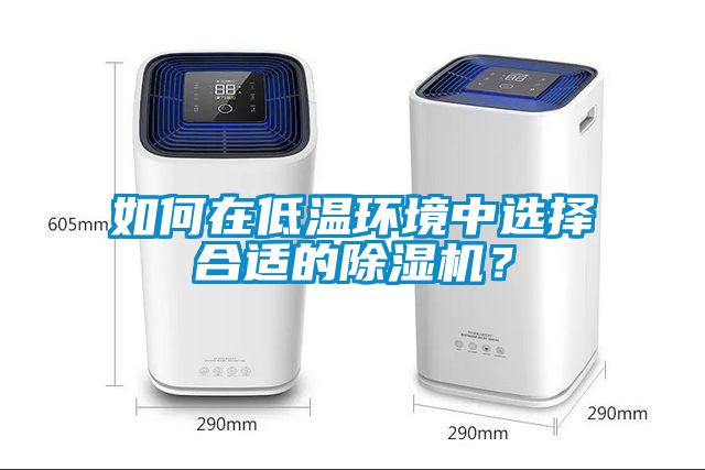 如何在低温环境中选择合适的91抖音免费看片？
