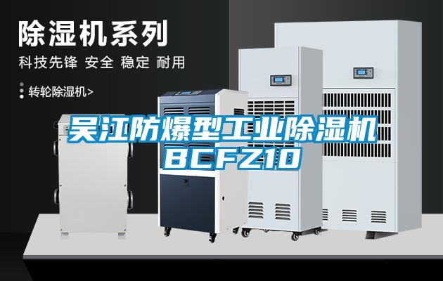 吴江防爆型工业91抖音免费看片 BCFZ10
