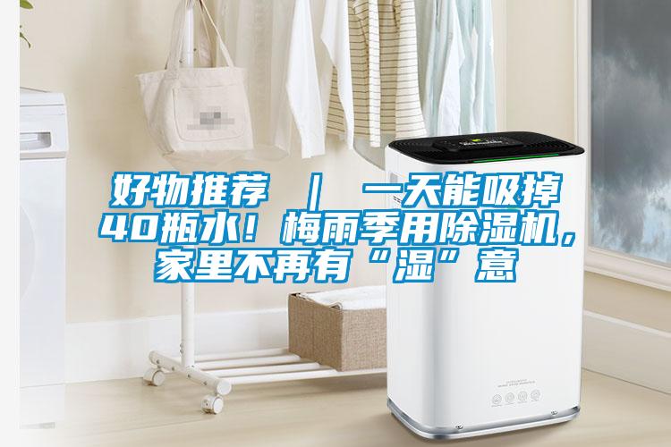 好物推荐 ｜ 一天能吸掉40瓶水！梅雨季用91抖音免费看片，家里不再有“湿”意
