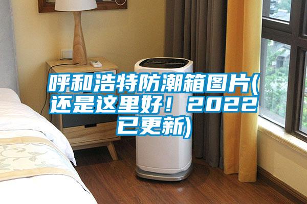 呼和浩特防潮箱图片(还是这里好！2022已更新)