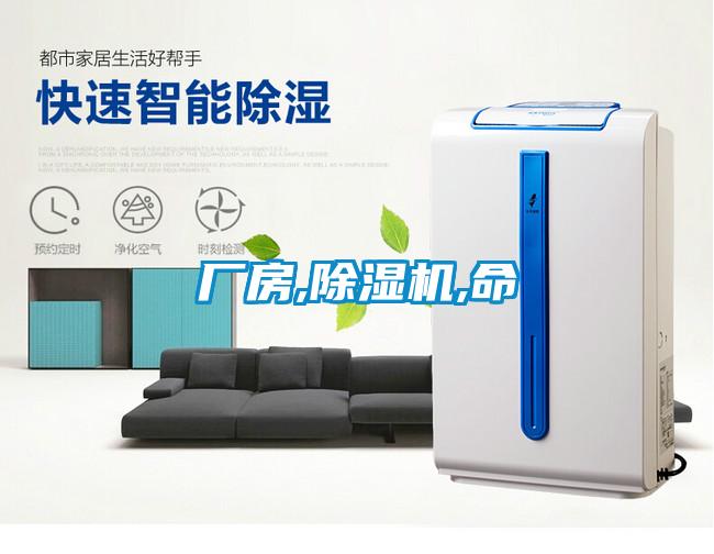 厂房,91抖音免费看片,命