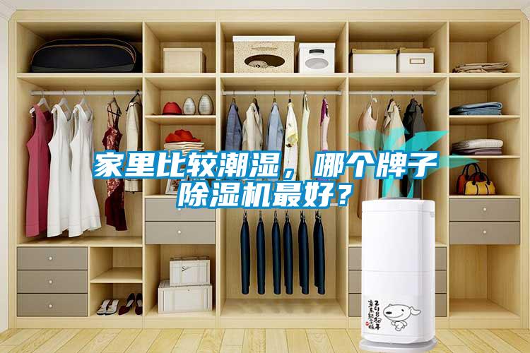 家里比较潮湿，哪个牌子91抖音免费看片最好？