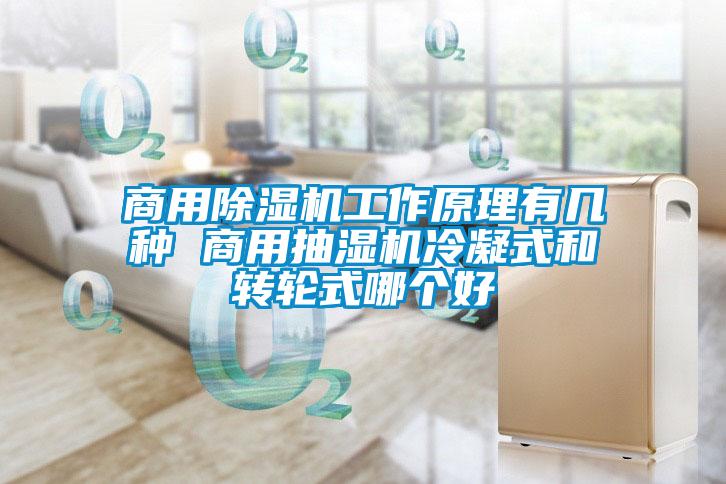 商用91抖音免费看片工作原理有几种 商用抽湿机冷凝式和转轮式哪个好